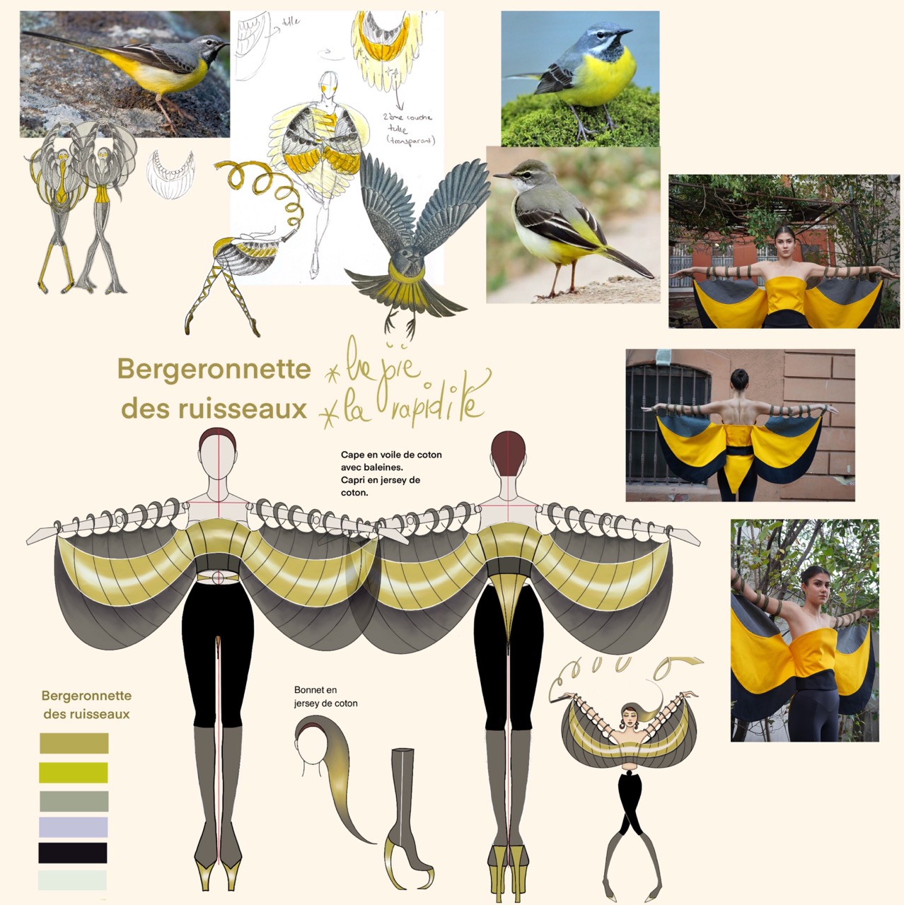 Portfolio Mentoring Services